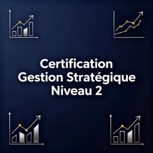Certification Gestion Stratégique Niveau 2