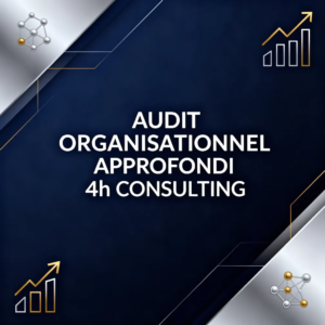 Audit Organisationnel Approfondi 4h Consulting