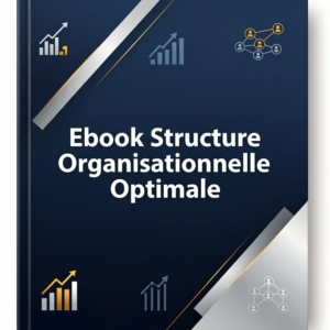 Ebook Structure Organisationnelle Optimale