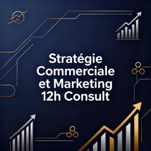 Stratégie Commerciale et Marketing 12h Consult
