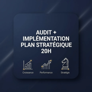Audit + Implémentation Plan Stratégique 20h