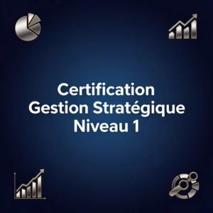 Certification Gestion Stratégique Niveau 1