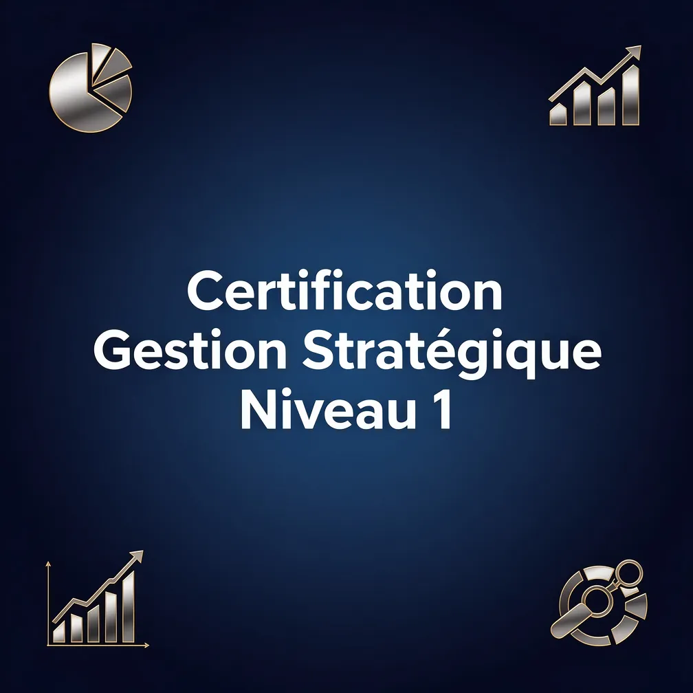 Certification Gestion Stratégique Niveau 1
